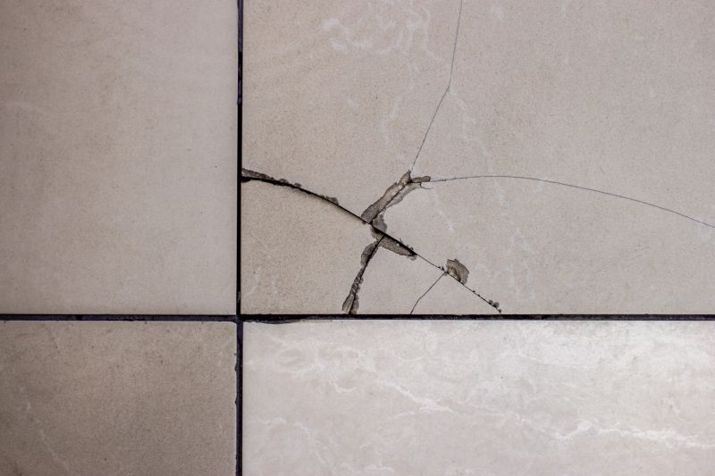 Broken Tile Repair