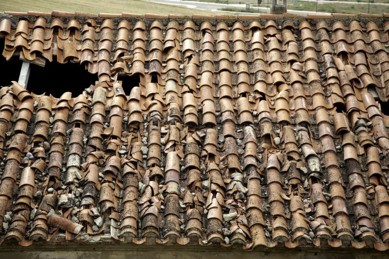 Damaged Tiles in Summer